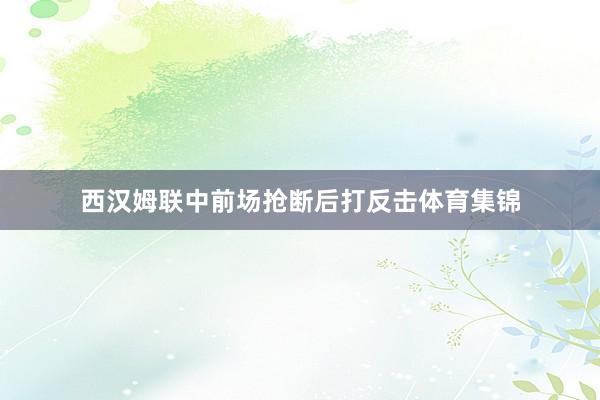 西汉姆联中前场抢断后打反击体育集锦