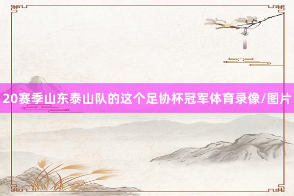 20赛季山东泰山队的这个足协杯冠军体育录像/图片