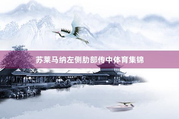 苏莱马纳左侧肋部传中体育集锦