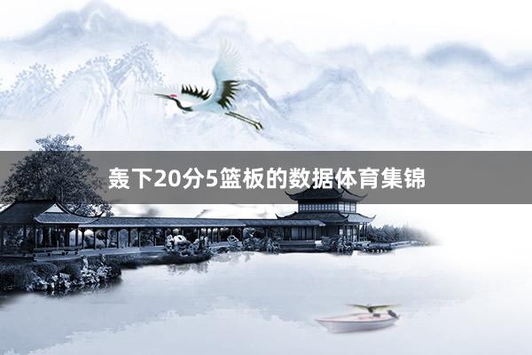 轰下20分5篮板的数据体育集锦