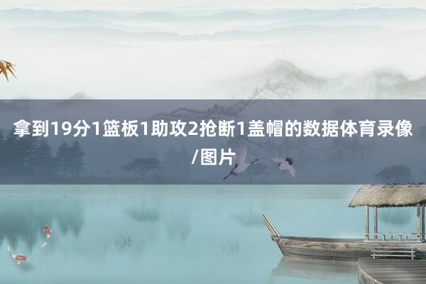 拿到19分1篮板1助攻2抢断1盖帽的数据体育录像/图片