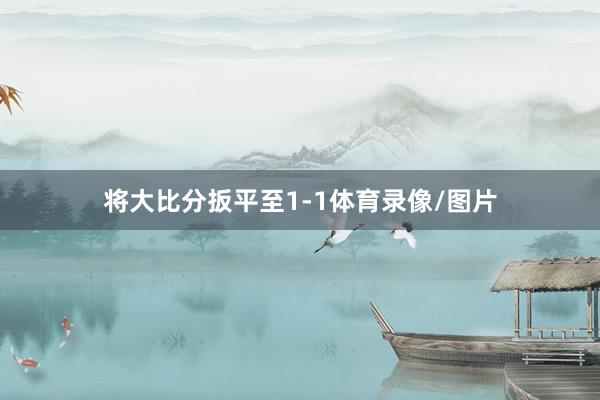 将大比分扳平至1-1体育录像/图片