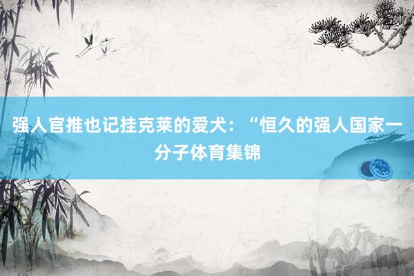 强人官推也记挂克莱的爱犬：“恒久的强人国家一分子体育集锦