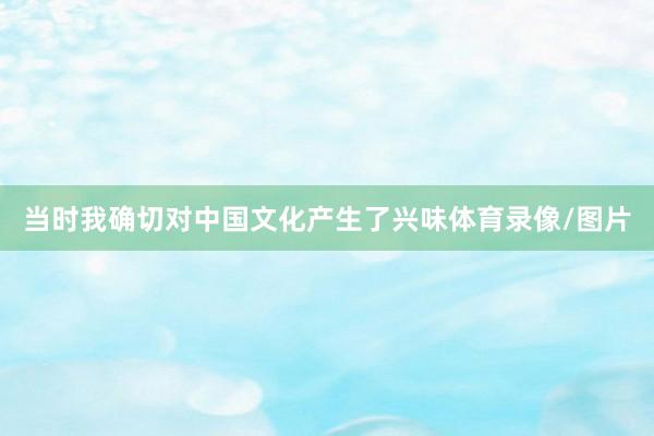 当时我确切对中国文化产生了兴味体育录像/图片