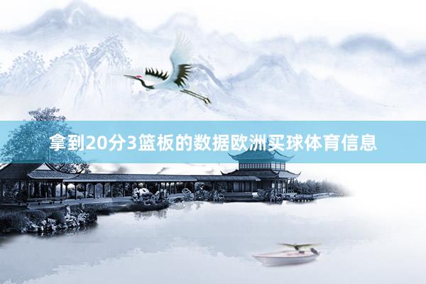 拿到20分3篮板的数据欧洲买球体育信息
