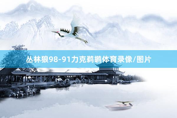 丛林狼98-91力克鹈鹕体育录像/图片