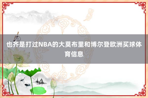 也齐是打过NBA的大莫布里和博尔登欧洲买球体育信息