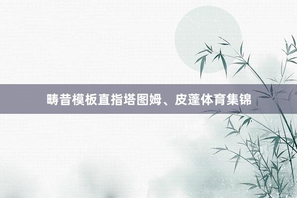 畴昔模板直指塔图姆、皮蓬体育集锦