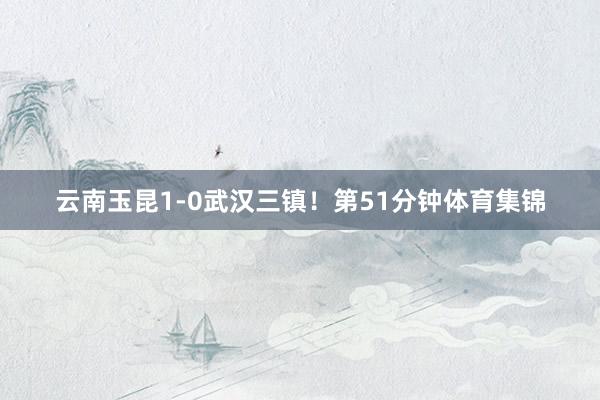 云南玉昆1-0武汉三镇！第51分钟体育集锦