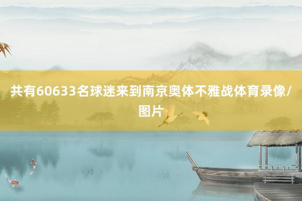 共有60633名球迷来到南京奥体不雅战体育录像/图片