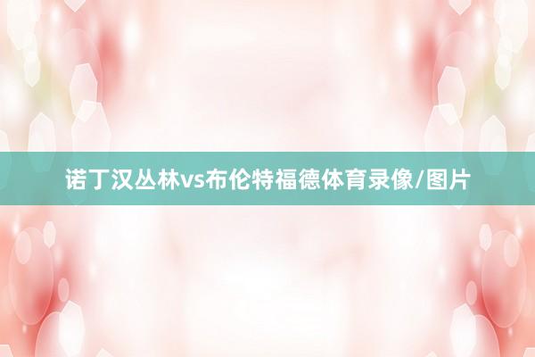 诺丁汉丛林vs布伦特福德体育录像/图片