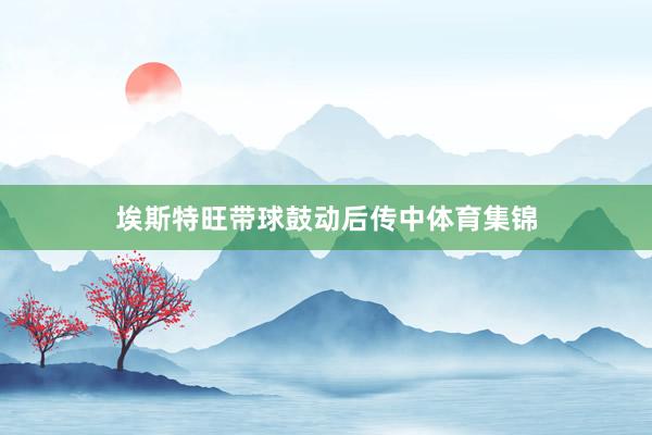 埃斯特旺带球鼓动后传中体育集锦