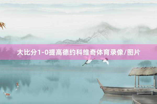 大比分1-0提高德约科维奇体育录像/图片