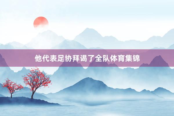 他代表足协拜谒了全队体育集锦