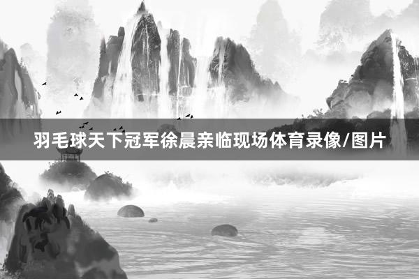 羽毛球天下冠军徐晨亲临现场体育录像/图片