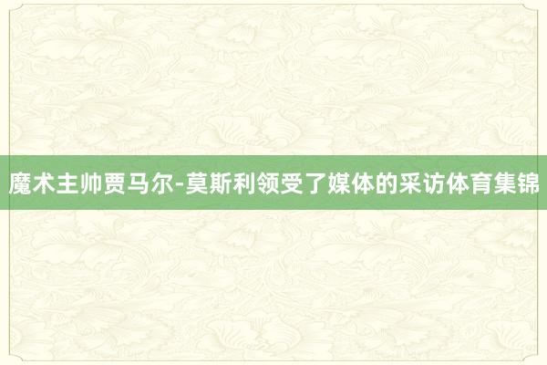 魔术主帅贾马尔-莫斯利领受了媒体的采访体育集锦