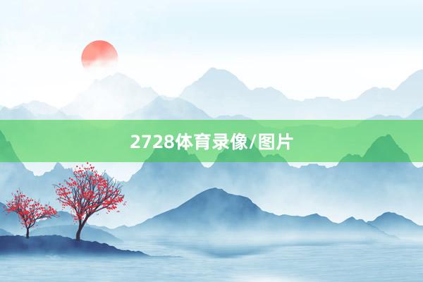 2728体育录像/图片
