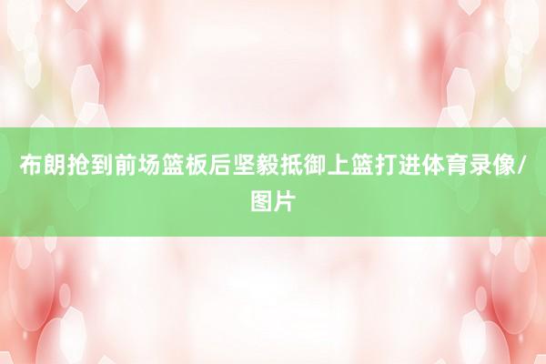 布朗抢到前场篮板后坚毅抵御上篮打进体育录像/图片