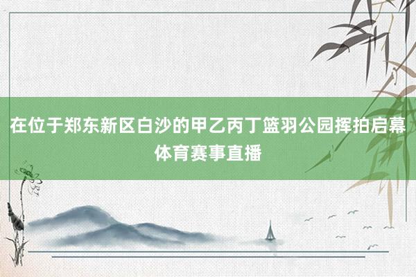 在位于郑东新区白沙的甲乙丙丁篮羽公园挥拍启幕体育赛事直播