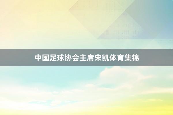 中国足球协会主席宋凯体育集锦