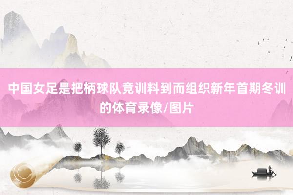 中国女足是把柄球队竞训料到而组织新年首期冬训的体育录像/图片