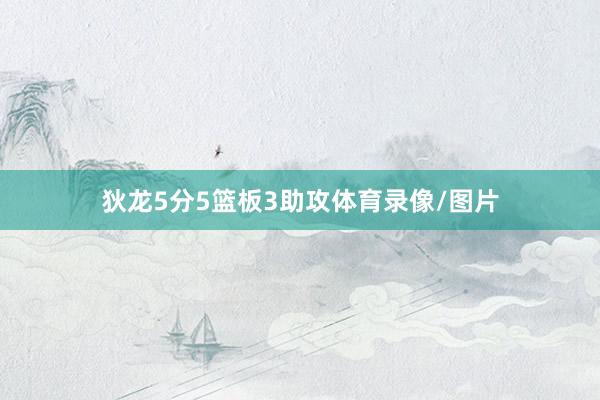 狄龙5分5篮板3助攻体育录像/图片