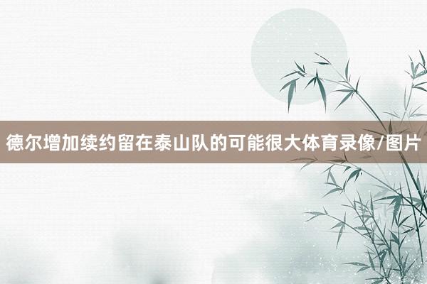 德尔增加续约留在泰山队的可能很大体育录像/图片