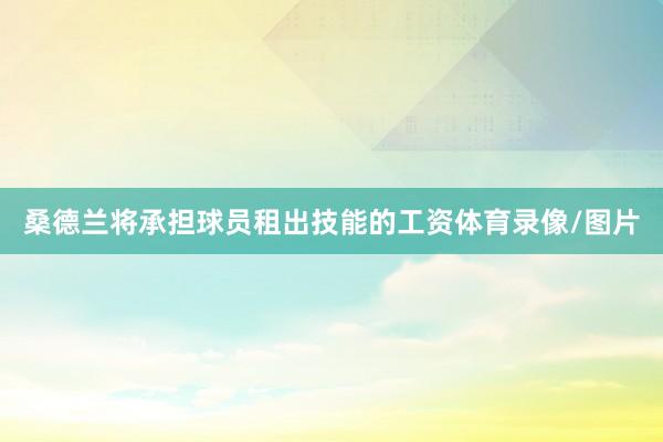 桑德兰将承担球员租出技能的工资体育录像/图片