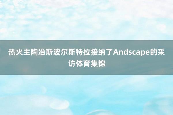 热火主陶冶斯波尔斯特拉接纳了Andscape的采访体育集锦