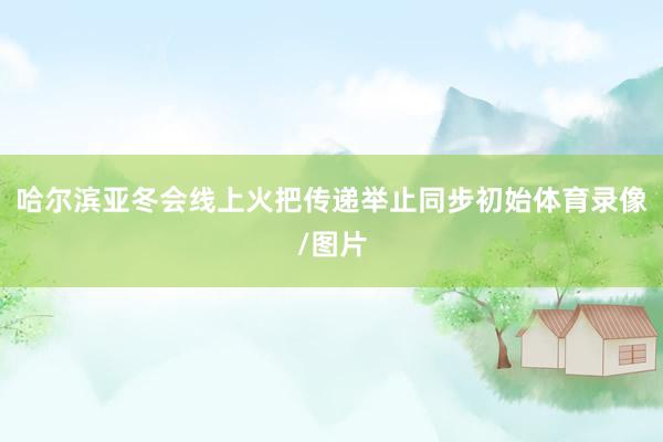 哈尔滨亚冬会线上火把传递举止同步初始体育录像/图片