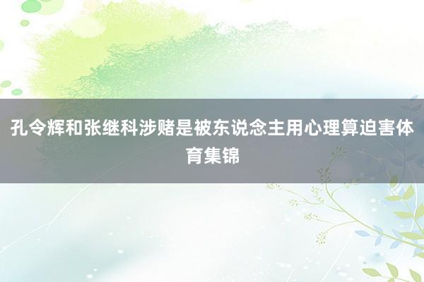 孔令辉和张继科涉赌是被东说念主用心理算迫害体育集锦
