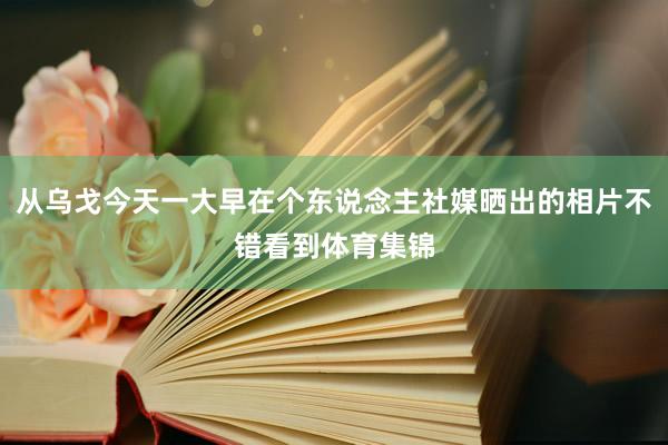 从乌戈今天一大早在个东说念主社媒晒出的相片不错看到体育集锦