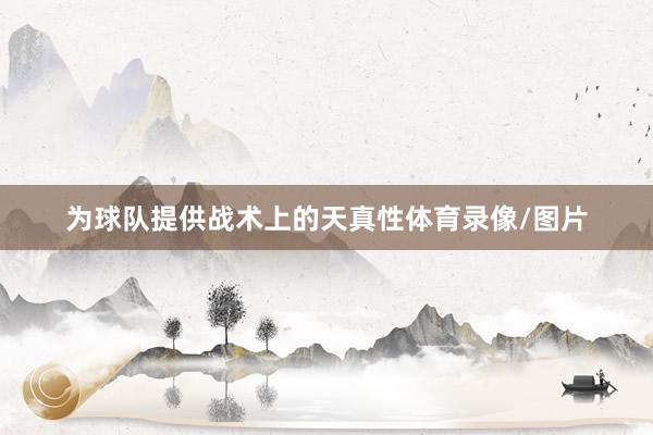 为球队提供战术上的天真性体育录像/图片