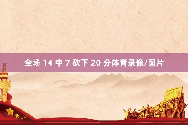 全场 14 中 7 砍下 20 分体育录像/图片