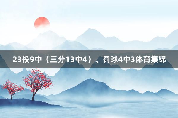 23投9中（三分13中4）、罚球4中3体育集锦