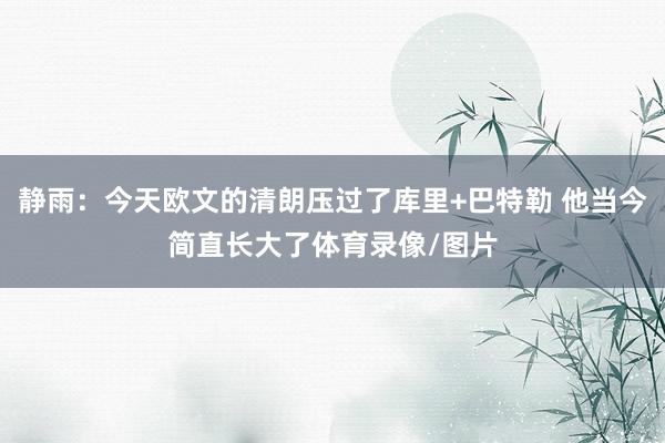 静雨：今天欧文的清朗压过了库里+巴特勒 他当今简直长大了体育录像/图片