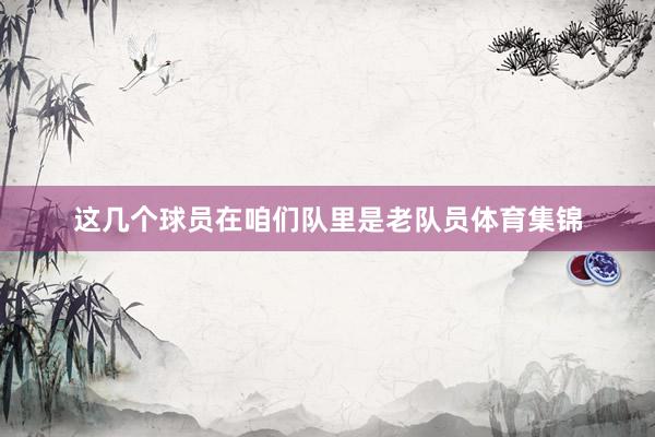 这几个球员在咱们队里是老队员体育集锦