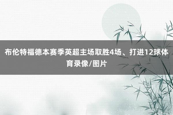 布伦特福德本赛季英超主场取胜4场、打进12球体育录像/图片
