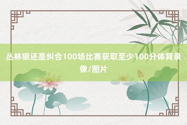 丛林狼还是纠合100场比赛获取至少100分体育录像/图片