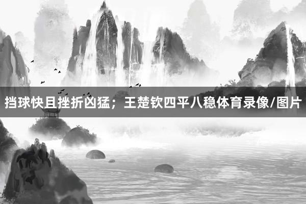 挡球快且挫折凶猛;王楚钦四平八稳体育录像/图片